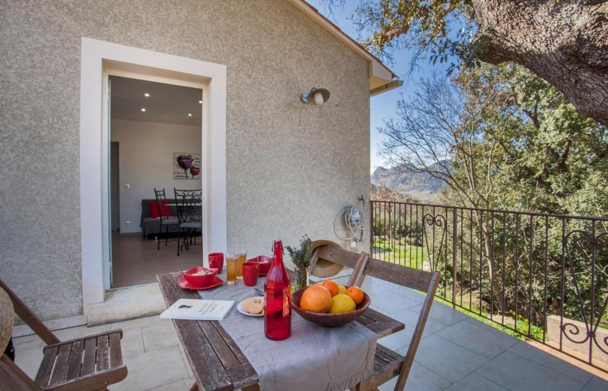 Ferienwohnung Domaine Ghjulia Patrimonio Exterior foto